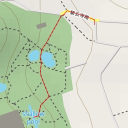 thumbnail for shallow pool