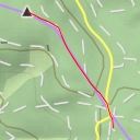 thumbnail for Goldener Zapfen