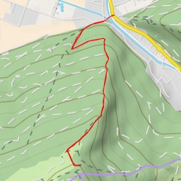 thumbnail for Schwengimattstrasse