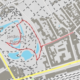 thumbnail for Magnolia d'Hectot - Le labyrinthe des camélias - Nantes