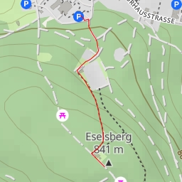 thumbnail for Eselsberg