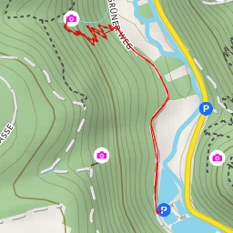 thumbnail for Grüner Weg