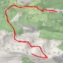 thumbnail for Bric Ronzino