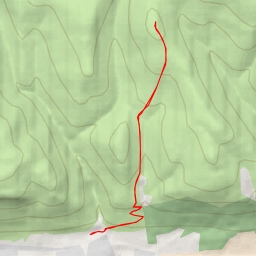 thumbnail for Ben Ever