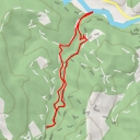 thumbnail for Gorg Petit del Colomer