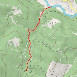 thumbnail for Camí de l'Auró