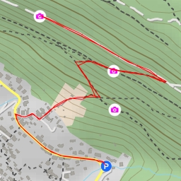 thumbnail for Strada Vicentina - Trieste