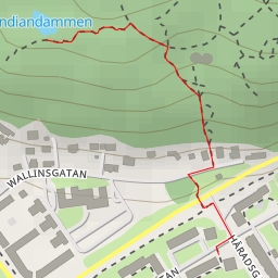 thumbnail for Indiandammen