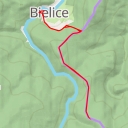 thumbnail for Klonowiec