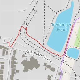 thumbnail for Iremonger Pond