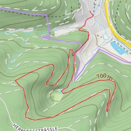 thumbnail for Seeger Ruhe