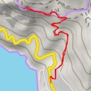 thumbnail for Acampora