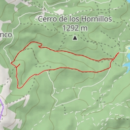 thumbnail for Ël bosque plateado