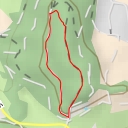 thumbnail for Steinberg