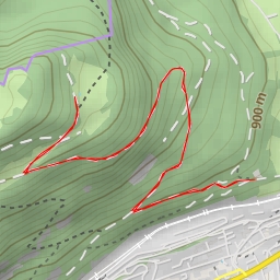 thumbnail for Chemin de Pralioux