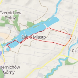 thumbnail for Liliowa