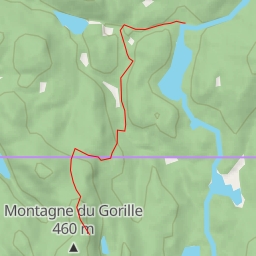 thumbnail for Sentier du Mont-Gorille