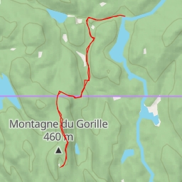 thumbnail for Sentier du Mont-Gorille