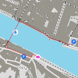 thumbnail for Lungarno Torrigiani - Firenze