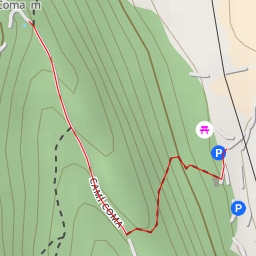 thumbnail for Camí Coma - Camí Coma