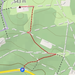 thumbnail for Grauer Kopf