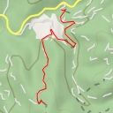 thumbnail for Gall Curt