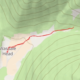 thumbnail for Gavel Neese