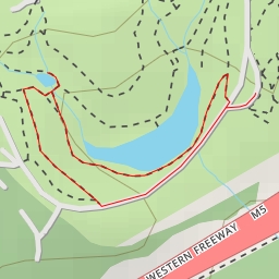 thumbnail for Tropical Rainforest - Citriodora Trail