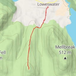 thumbnail for Hen Comb