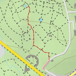 thumbnail for Хамеропс низкий - Курортный проспект - Сочи