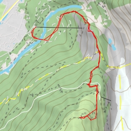 thumbnail for Le Signal Forbes