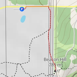 thumbnail for Beacon Hill