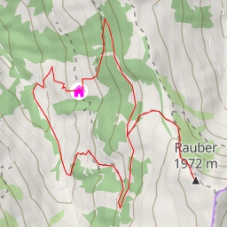 thumbnail for Rauber