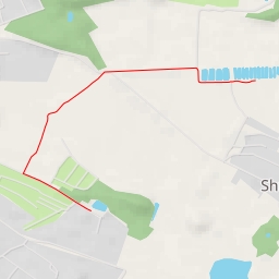 thumbnail for Берёзовая аллея - Берёзовая аллея