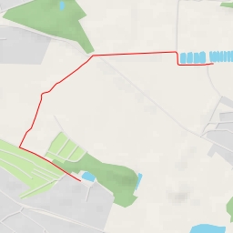 thumbnail for Берёзовая аллея - Берёзовая аллея