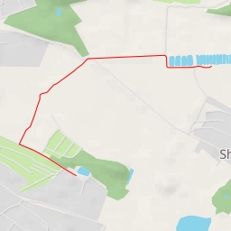 thumbnail for Берёзовая аллея - Берёзовая аллея