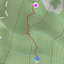 thumbnail for Gigi Casentini