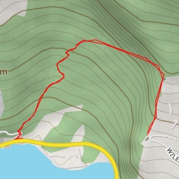 thumbnail for Wilenstrasse