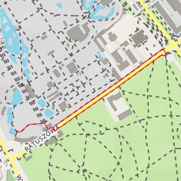 thumbnail for Wydra europejska - Wybrzeże Helskie - Warszawa