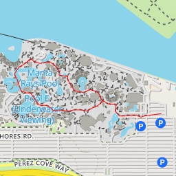 thumbnail for Sea Turtles - First Aid Path - San Diego