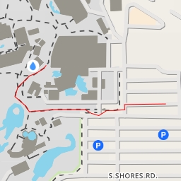 thumbnail for Walrus Exhibit