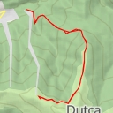 thumbnail for Culmea Urechea - Culmea Urechea