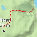 thumbnail for Green Comb