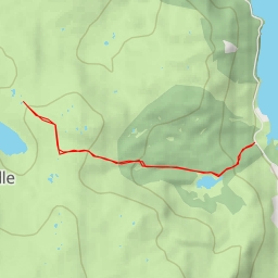 thumbnail for Long Moss