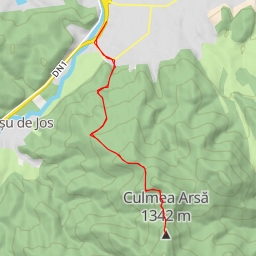thumbnail for Culmea Arsă