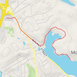 thumbnail for Birch Pond