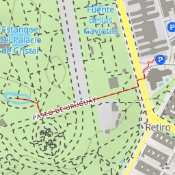 thumbnail for Palmito gigante - Paseo del Uruguay - Madrid