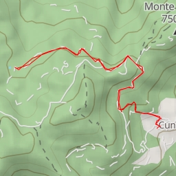 thumbnail for S.C del Bargiglio - S.C del Bargiglio