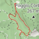 thumbnail for Vista sulla città di Livorno