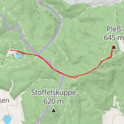 thumbnail for Alte Pleßstraße